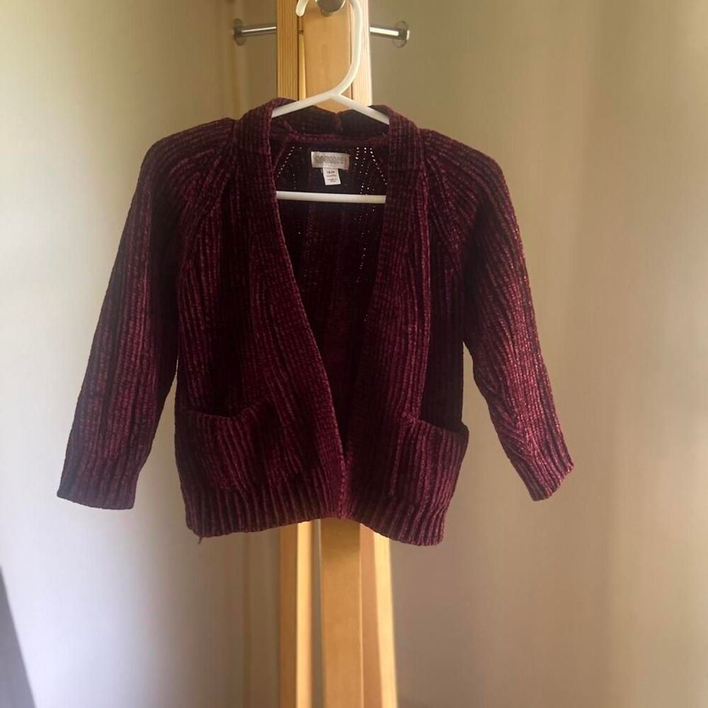 Gymboree Burgundy Cardigan